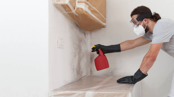Professional Attic Mold Removal technician working in Muskegon, MI