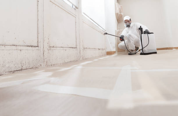 24/7 Emergency Attic Mold Removal experts in Muskegon, MI
